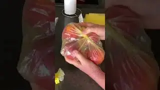 STOP Wasting Food with These AMAZING Keep It Fresh Produce Bags!
