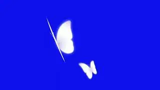 Blue Screen Effect Background Butterfly No Copyright Claim Video