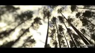 Ostap & Daria. Lovestory. Magic forest.