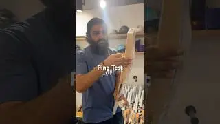 Ping Test of SS Ton English Willow Bat | Just 1125gm | Cricket Bat | Cricket #cricket