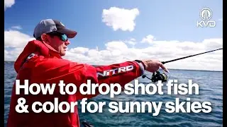 Техника оснастки Drop Shot от Кевина Вандама для ловли крупного окуня | Советы по выбору приманки...