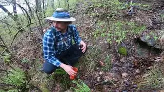 Finding a good water source.