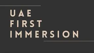 UAE First Immersion - Art Dubai 2023 - MORROW collective
