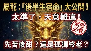 屬龍的後半生：是「先苦後甜」還是「孤獨終老」？這份「宿命表」寫得太準了，看完忍不住流下眼淚！#屬龍2026運勢 #2026生肖龍運勢 #財運 #風水 #算命 #偏財運 #貴人運 #生肖龍 #屬龍