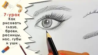 7- глаза, брови, ресницы, нос, губы и уши /7- eyes, eyebrows, eyelashes, nose, lips and ears
