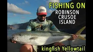 PESCA de PALOMETAS KINGFISH Fishing Isla Robinson Crusoe - SpinRock 2018