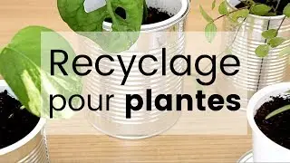 DIY Recyclage créatif - 3 astuces pour vos plantes d'intérieur | Tuto recyclage déco et boutures