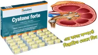Cystone Forte Tablet Benefits In Bengali Review. Cystone Forte Tablet এর কাজ কি জেনে নিন I