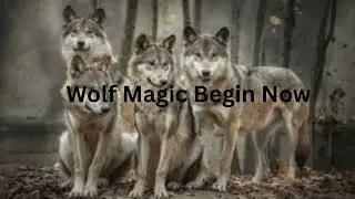 Wolf Magic Begin Now Very Powerful Wish Fulfilment Manifestation Switch Words Mantra.