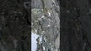 Hallet Peak Winter Mixed Climb (Englishman Route)