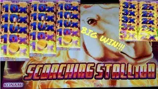**SCORCHING STALLION** by 