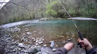 P&ecirc;che au mort mani&eacute;