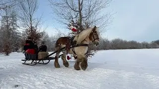 Horse Sleigh Ride in Leek 🐎❄️ | Pure Winter Magic