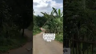 400 mtr surat ajb 95 juta akses mobil lok ci gudeg bogor barat info wa di propil#tanahmurah