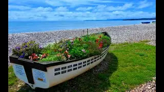 July 2021: Holiday in South Devon Staying in Woodbury Park Hotel
