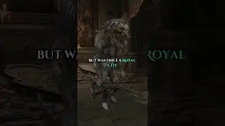 История Плацидусакса