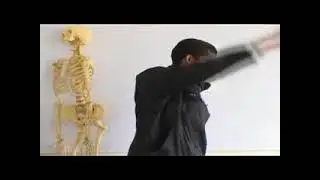 Side determination, surfaces, borders and angles of Scapula bone