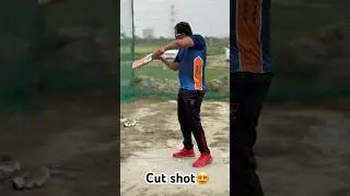 Learn to play perfect cut shot💯✅