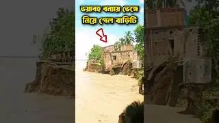বন্যায় বাড়িটি ভেঙ্গে নিয়ে যাচ্ছে দেখুন 😲 #বন্যা #বন্যারখবর #বাংলাদেশেবন্যা #flood