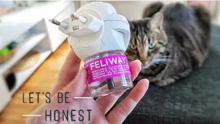 Диффузор FELIWAY: чудо или опасность❓