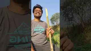 A day in my Village life #minivlog #dailyminivlog #villagevlog #villagelife #adayinmylife