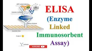 ELISA | Clinical Biochemistry #elisa #medicalmirobiology #student #medical #1st #notes #education