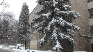 Sony HDR-CX505 snow test video fullHD