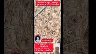 Bore point success/bore point checking/geologist @bore point @borewell point checking geologist