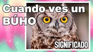 ¿Qué significa CUANDO VES un BÚHO?