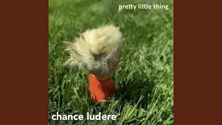 Pretty Little Thing