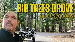 Exploring Trail #16: Adventure Motorcycle Ride to Big Trees Grove & Giant Sequoias