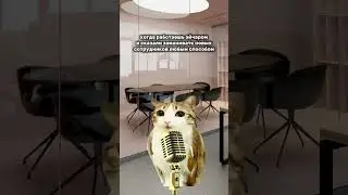 Специфика работы #работа #юмор #hr #собеседование #котики #kitten #cat #job #career #interview