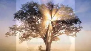NUEVO SOL-Padre Edgar Larrea