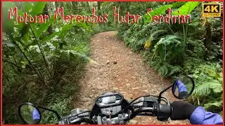 Nekat Motoran Masuk Hutan Sendirian ❗❗❗