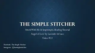 Video #22   Stitchy Update