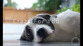 Tammany Hall NYC: Crazy For You (OfficialVideo)