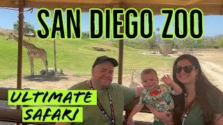 I Pet An Endangered Rhino: Ultimate Safari At The San Diego Zoo Safari Park California!