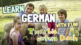 Learn German with TV Shows | Tiere bis unters Dach