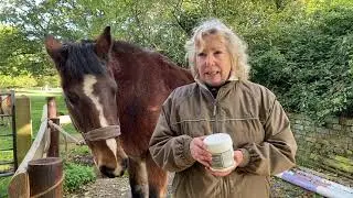 4 Minute Guide to Problem Equine Skin