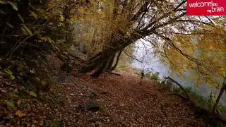 Wolfram Christ - Concerto For Viola and Orchestra in C major (Allegro)