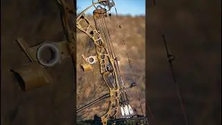 Archery ASMR #archery #hoytarchery #mathewsarchery #archerylifestyle #archeryequipment #outdoors