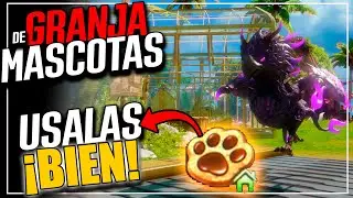 &iquest;Que COMPRAR PRIMERO con las GALLETAS?🤔|| GU&Iacute;A del RANCHO de MASCOTAS en LOST  ARK✅