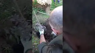 Primera plantaci&oacute;n 🌳🌲🌾🌱 Proyecto Baluarte🏰