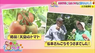 【媛さんぽ】久万高原町　新鮮野菜に伝統の味などで夏を丸かじり