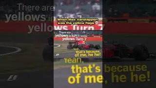 When Max Verstappen was the yellow flags 💀 #f1 #f1shorts