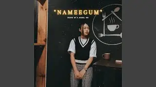 Nameegum