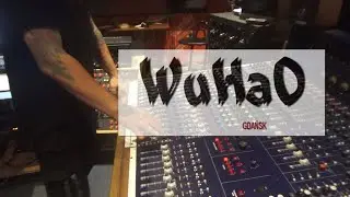WuHaO  -  Tw&oacute;j numer (Cypress Hill - What's Your Number? ft. Tim Armstrong Cover)
