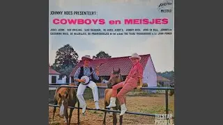 De Cowboy Soldaat