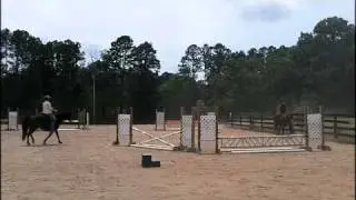 Arena Racing, DanDi Acres Style