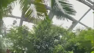 Auckland Zoo - Spotting our Powerfoil D HVLS Ceiling Fan creating a stir in the crocodile enclosure.
